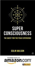 SpiritualVirago_com - Peak Experience Book 3