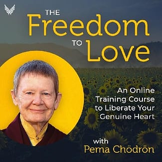 Authentic Self Courses - Freedom to Love