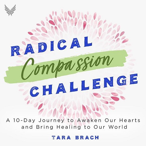 Dalai Lama - Compassion Challenge
