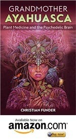 SpiritualVirago_com - PTSD Ayahuasca Book 5