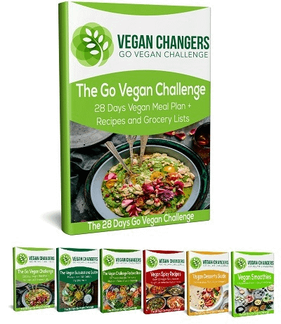 Nutrition Fitness Course - Vegan Changers